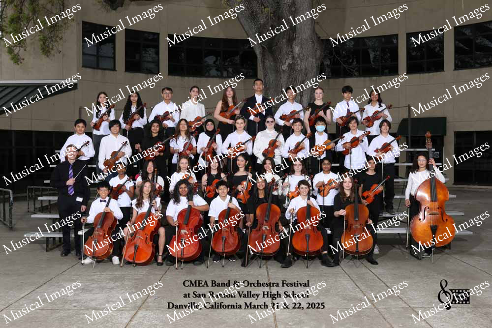 Musical Images